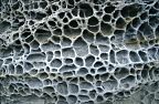 Rock weathered into 'honeycomb' formation