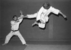 Martial arts 'flying jump-kick'
