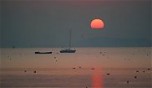 Yacht and gulls with setting sun, Poole Harbour, England