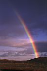 Rainbow over moorland