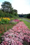 Flower-beds, Seaton Gardens, Aberdeen, Scotland